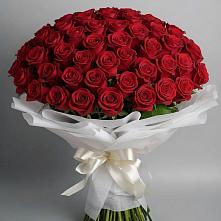 Букет 101 Красная роза Блэк Мэджик #REPLACE_PRED# Змейской