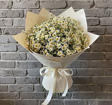 Букет цветов из:  Ромашки #REPLACE_PRED# Змейской
