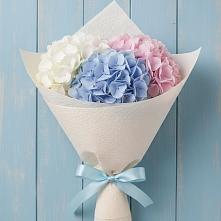 Букет цветов из:  Гортензия в Змейской