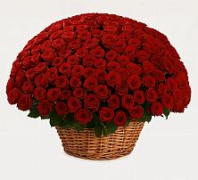 Премиум букет из: Розы #REPLACE_PRED# Змейской