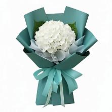 Букет цветов из:  Гортензия #REPLACE_PRED# Змейской